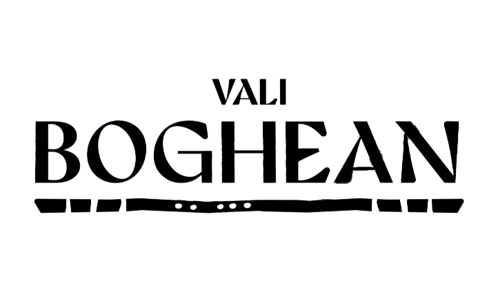Vali Boghean Band